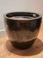 Glazuur Egg Pot - Mosgroen - 40x41x48 cm, Tuin en Terras, Bloempotten, Ophalen, Gebruikt, 40 cm of meer, Rond