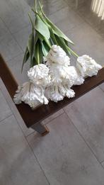 8 mooie parot tulpen, Ophalen of Verzenden, Zo goed als nieuw