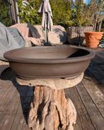 Bonsai pot 42x33x10, ., Nieuw, Ophalen of Verzenden, .