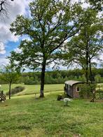 Prachtig chalet op kasteelcamping in de Dordogne te huur, Vakantie, Vakantiehuizen | Frankrijk, Recreatiepark, Zwembad, Chalet, Bungalow of Caravan