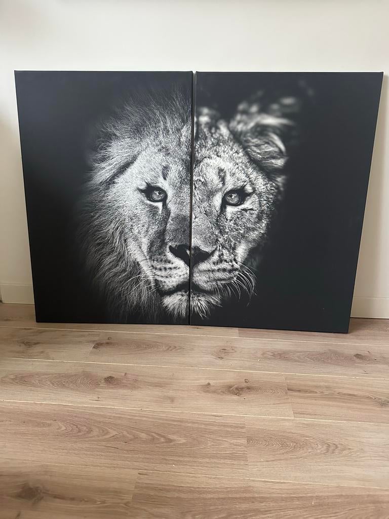 Leuk schilderij foto van een leeuw en een lynx, Ophalen, Oorspronkelijke maker, Zo goed als nieuw, Schilderij