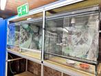 8x Terrarium, Dieren en Toebehoren, Reptielen en Amfibieën | Toebehoren, Ophalen, Nieuw, Terrarium of Paludarium
