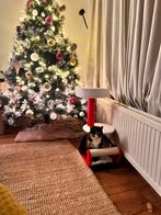 Mooie volle kerstboom, Diversen, Kerst, Ophalen, Zo goed als nieuw