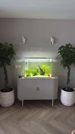 Aquarium compleet, Dieren en Toebehoren, Ophalen, Zo goed als nieuw