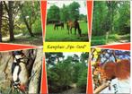 Ermelo  Kamphuis Fijn-Oord, Ophalen of Verzenden, Gelopen, Gelderland