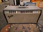 Vintage Fender Dual Showman 100w Versterkertop (1969 - 1973), Muziek en Instrumenten, Ophalen, Gebruikt, Gitaar, 50 tot 100 watt