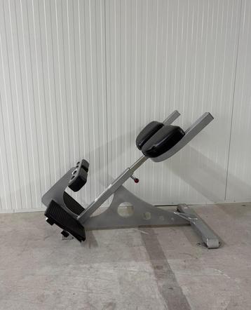 Star trac hyperextension/ hyper extension/ onderrug beschikbaar voor biedingen