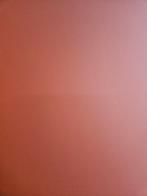 Polyrey HPL fineer platen B120 Brique 307x132cm ( 428 ), Ophalen, HPL, Gebruikt, Nvt