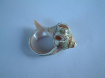 bijzondere ring of servetring gemaakt van een schelp beschikbaar voor biedingen