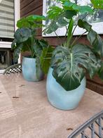 Kunstplanten met pot, Huis en Inrichting, Kamerplanten, Ophalen, Halfschaduw, Minder dan 100 cm