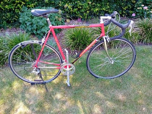 Koersfiets Colnago retro, Fietsen en Brommers, Fietsen | Racefietsen, Gebruikt, Overige merken, Staal, 57 tot 61 cm, Ophalen
