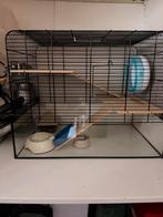 Home for Hamster, Ophalen, Kooi, 60 tot 90 cm, Hamster