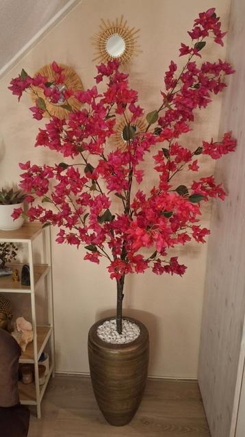 Kunstplant Bougainvillea beschikbaar voor biedingen
