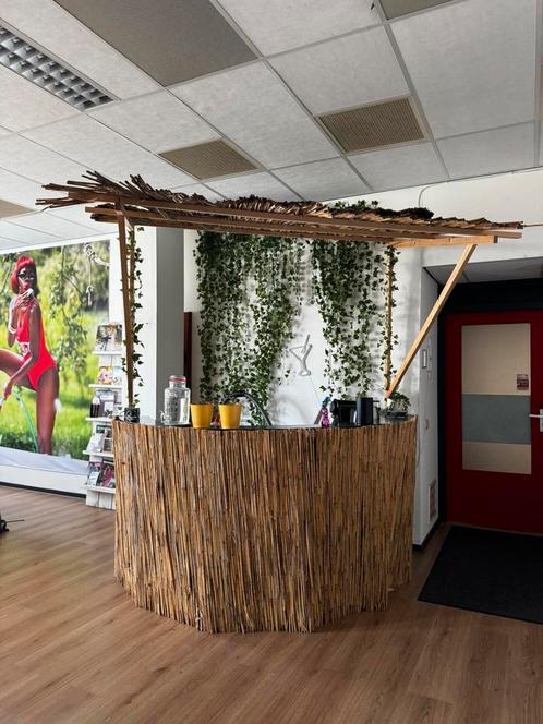 Tiki bar, met zelfgemaakt dak, Huis en Inrichting, Barren, Gebruikt, Ophalen