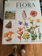 Flora, Boeken, Natuur, Ophalen of Verzenden, Zo goed als nieuw, Bloemen, Planten en Bomen