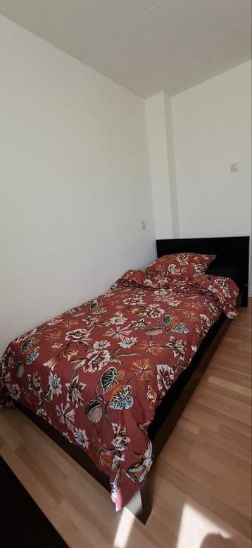Ikea Malm bed