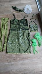 Groen jurkje met bijpassende kleding maat S, Gedragen, Carnaval, Ophalen of Verzenden, Kleding