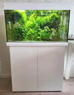 Mooi compleet Juwel rio 125 led aquarium, Dieren en Toebehoren, Vissen | Aquaria en Toebehoren, Ophalen, Zo goed als nieuw, Gevuld zoetwateraquarium
