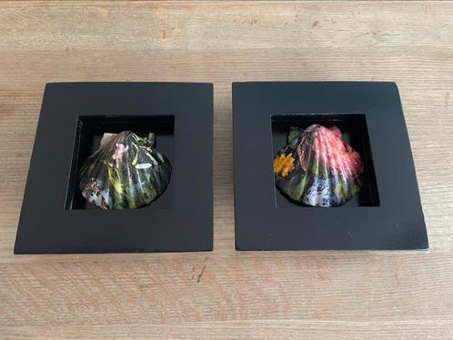 Prachtige schelpen lijstjes, Huis en Inrichting, Woonaccessoires | Lijsten, Nieuw, Minder dan 50 cm, Minder dan 50 cm, Overige materialen