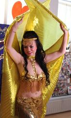 professioneel buikdanskostuum Turkije pailletten S M L XL, Ophalen of Verzenden, Nieuw, Bovenkleding