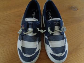 SPERRY canvas sneakers/gympen:mt 39 beschikbaar voor biedingen