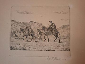 Ets met ezels en ruiters beschikbaar voor biedingen