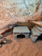 Klein reptielen grotje, Dieren en Toebehoren, Reptielen en Amfibieën, Hagedis, 0 tot 2 jaar