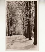 Warnsveld - Eefde   -   Kapperallee , wintergezicht , 1948, Verzamelen, Ansichtkaarten | Nederland, 1940 tot 1960, Gelderland