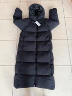 Daily Paper Puffer Jas Maat S, Kleding | Dames, Jassen | Winter, Verzenden, Zwart, Maat 36 (S), Daily Paper