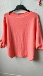 Ambika Trui maat M, Kleding | Dames, Ambika, Ophalen of Verzenden, Zo goed als nieuw, Maat 38/40 (M)