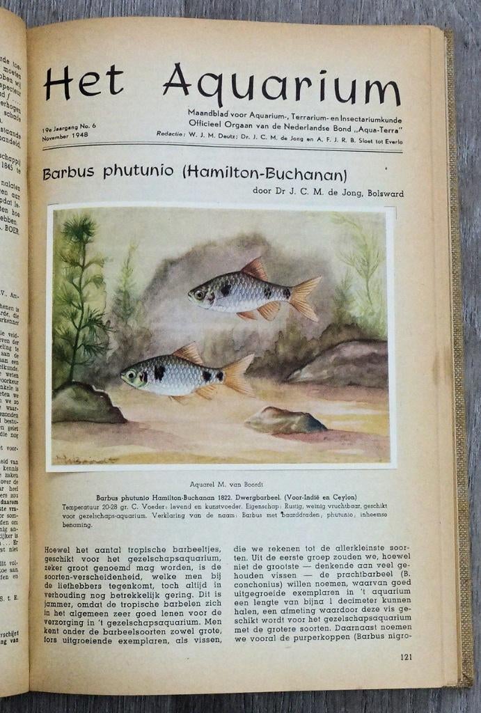 HET AQUARIUM 1949-50 JAARGANG 20 TERRARIUM INSECTARIUM, Antiek en Kunst, Ophalen of Verzenden