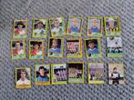 Panini voetbalplaatjes 1990 Nederland., Ophalen of Verzenden, Meerdere plaatjes