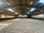 Pensionstalling, Weidegang, 1 paard of pony