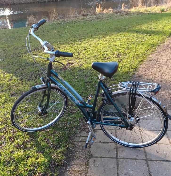 Gazelle Davos Damesfiets frame 54cm Nexus 7 speed, Fietsen en Brommers, Fietsen | Dames | Damesfietsen, Zo goed als nieuw, Gazelle