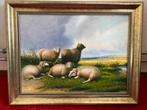 schapen in het veld, Antiek en Kunst, Kunst | Schilderijen | Klassiek, Ophalen