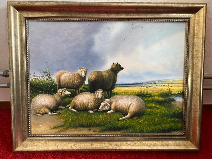 schapen in het veld, Antiek en Kunst, Kunst | Schilderijen | Klassiek, Ophalen