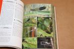 ANWB Natuurgids — Dieren- en Plantengids voor Europa, Boeken, Ophalen of Verzenden, Gelezen, Natuur algemeen