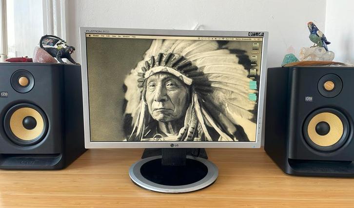 LG Flatron L194WT – 19 Inch Monitor, Computers en Software, Monitoren, Gebruikt, 60 Hz of minder, VGA, Gaming, Kantelbaar, TN