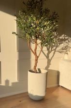 Bloempot kwantum Dijon, Ophalen, Nieuw, Rond, Minder dan 25 cm