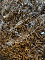 Gedroogde garnalen – 2,5 liter – Natuurlijk voer, Ophalen of Verzenden, Zo goed als nieuw