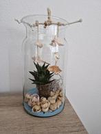 woonaccessoires vaas, Huis en Inrichting, Woonaccessoires | Vazen, Ophalen, Overige kleuren, Nieuw, Glas