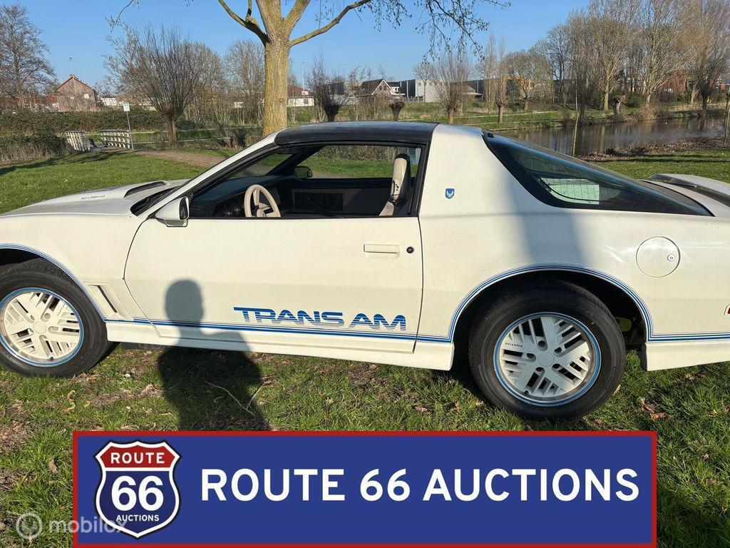 Pontiac Firebird Trans Am | 1984 | Route 66 Auctions, Auto's, Oldtimers, Pontiac, Overige carrosserieën, Zwart, Bedrijf
