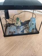 Aquarium klein, Ophalen, Zo goed als nieuw, Leeg aquarium