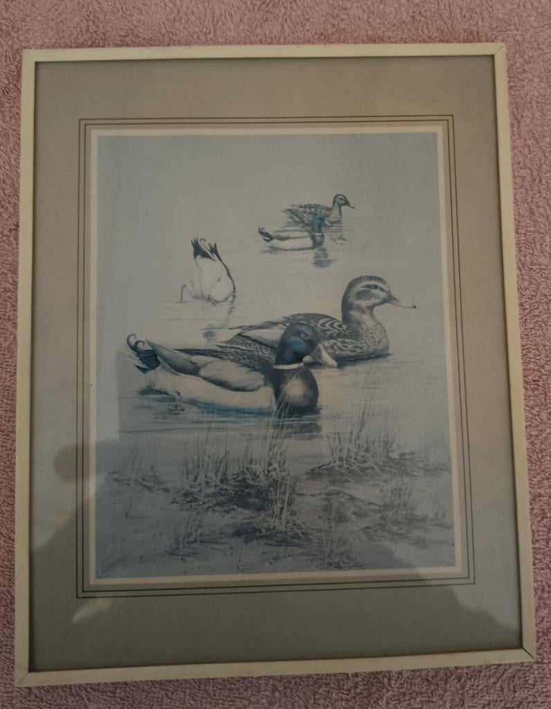 prachtig schilderijtje van wilde eendjes (Anni Moller), Antiek en Kunst, Ophalen