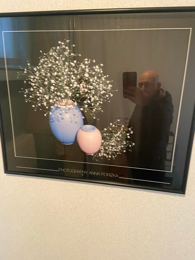 Ingelijste Fotoprint Anna Porizka - Gipsophila Vazen, Huis en Inrichting, Ophalen, Gebruikt, Foto of Poster, Oorspronkelijke maker