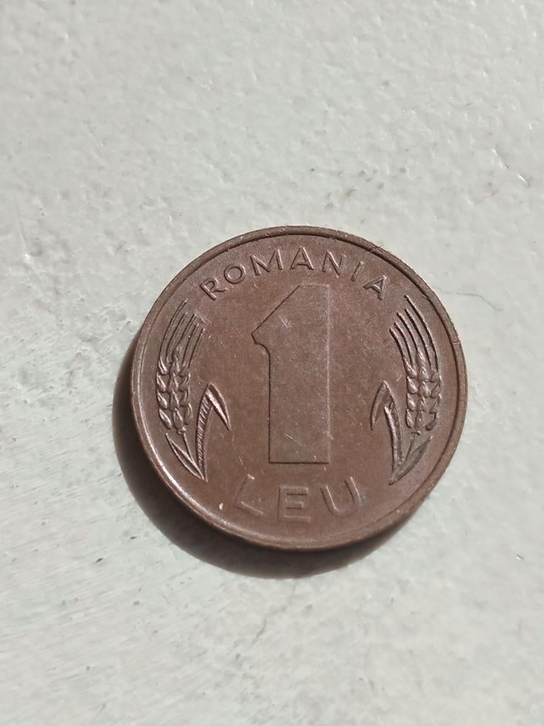Roemenië 1 leu 1993., Postzegels en Munten, Ophalen of Verzenden, Overige landen, Losse munt