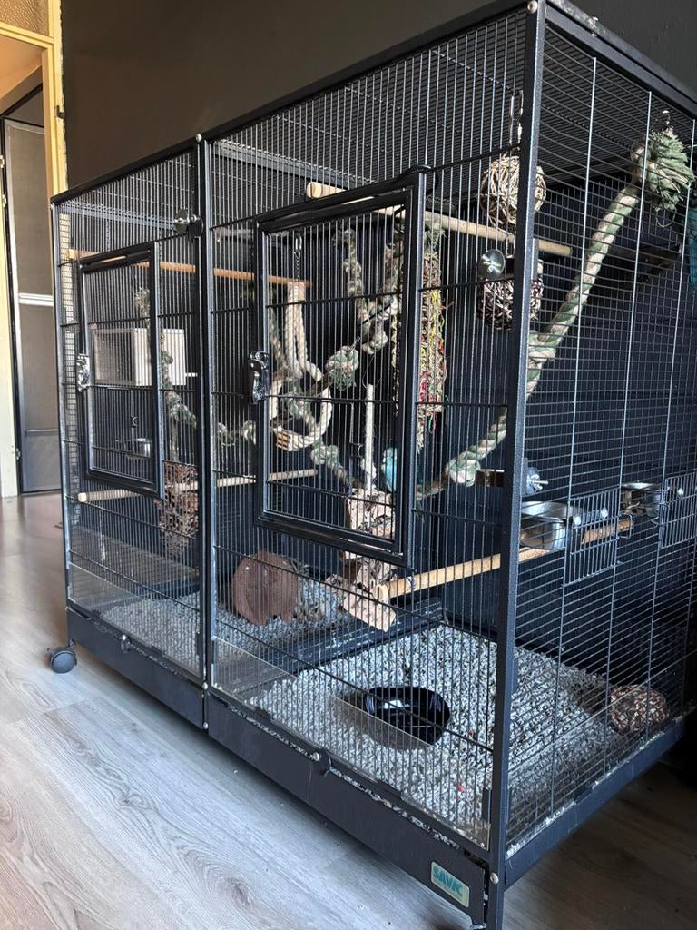 Kamervoliere met 2 kakariki’s en toebehoren, Dieren en Toebehoren, Vogels | Hokken en Kooien, Ophalen, Zo goed als nieuw, Metaal