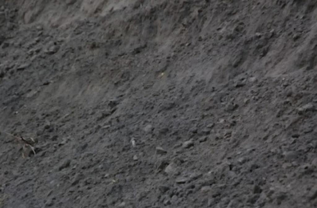 Zwart zand / grond GRATIS, Tuin en Terras, Ophalen of Verzenden, Overige typen