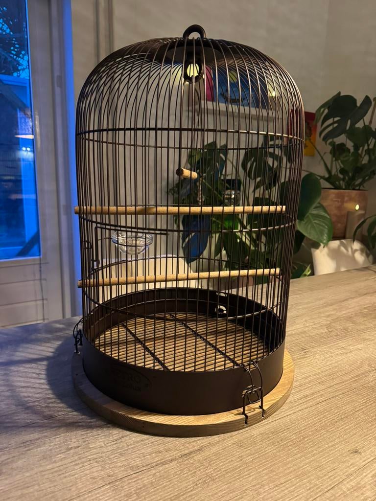 Vogelkooi rond zwart houten plateau NIEUW, Dieren en Toebehoren, Ophalen, Nieuw, Hout, Vogelkooi