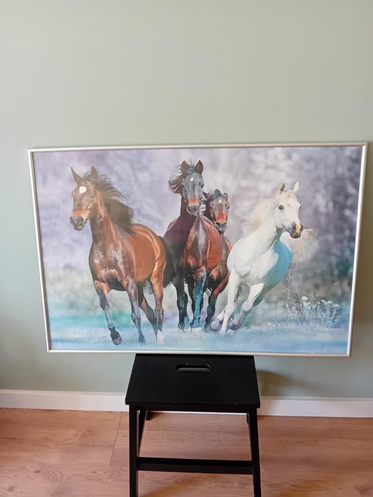 Grote ingelijste poster met rennende paarden, Ophalen, Gebruikt, 50 tot 75 cm, 100 tot 125 cm